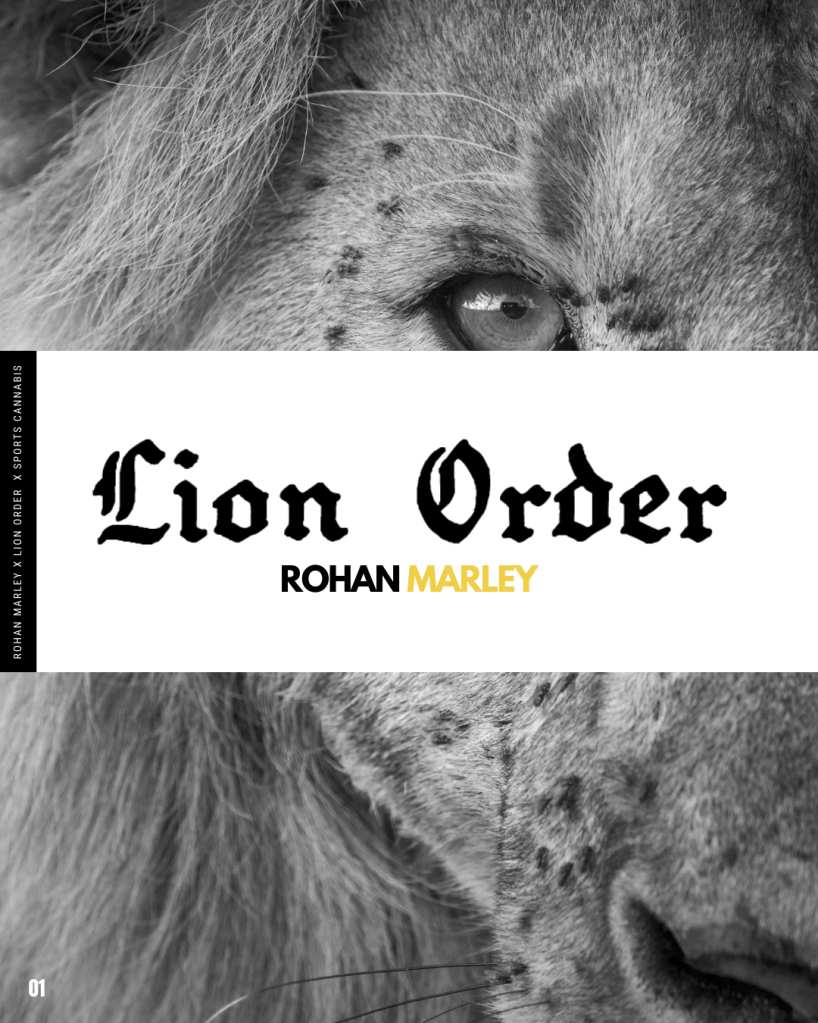 Lion X wellness brand image